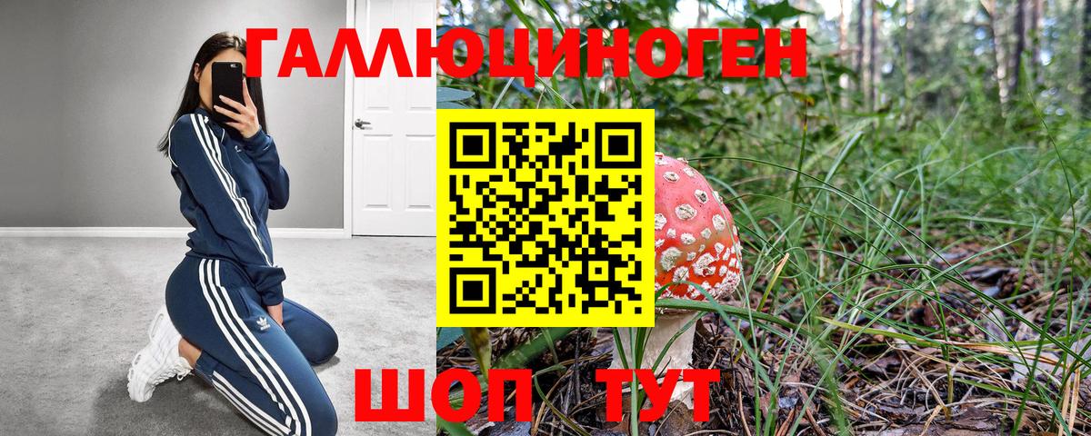 Вольск  Псилоцибиновые грибы Magic Shrooms  Вход с VPN  Галлюциногенные грибы ЛСД 